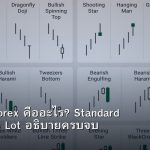 Lot Size Forex คืออะไร? Standard Mini Micro Lot อธิบายครบจบ