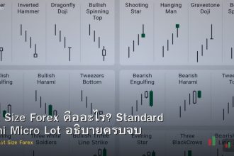 Lot Size Forex คืออะไร? Standard Mini Micro Lot อธิบายครบจบ