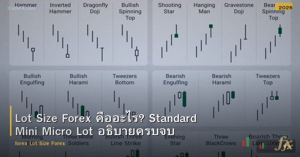 Lot Size Forex คืออะไร? Standard Mini Micro Lot อธิบายครบจบ