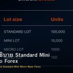 Lot Size อธิบาย Standard Mini Micro Nano Forex
