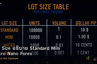 Lot Size อธิบาย Standard Mini Micro Nano Forex