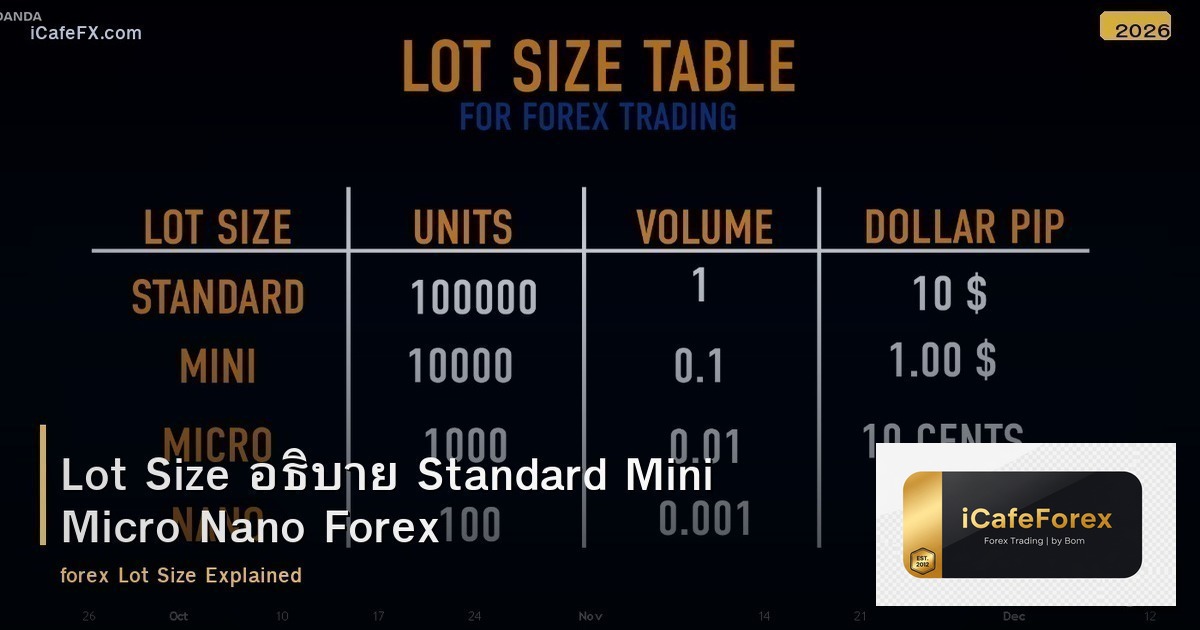 Lot Size อธิบาย Standard Mini Micro Nano Forex