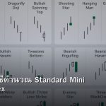 Lot Size วิธีคำนวณ Standard Mini Micro Forex