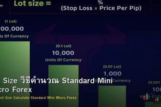 Lot Size วิธีคำนวณ Standard Mini Micro Forex
