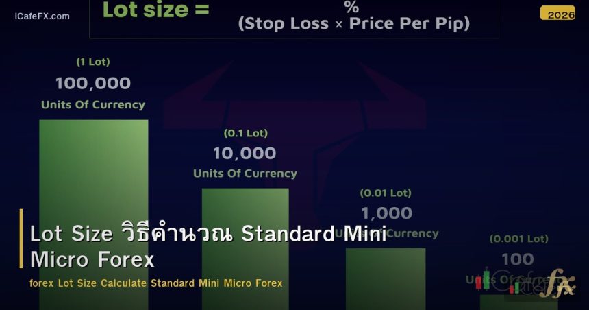 Lot Size วิธีคำนวณ Standard Mini Micro Forex