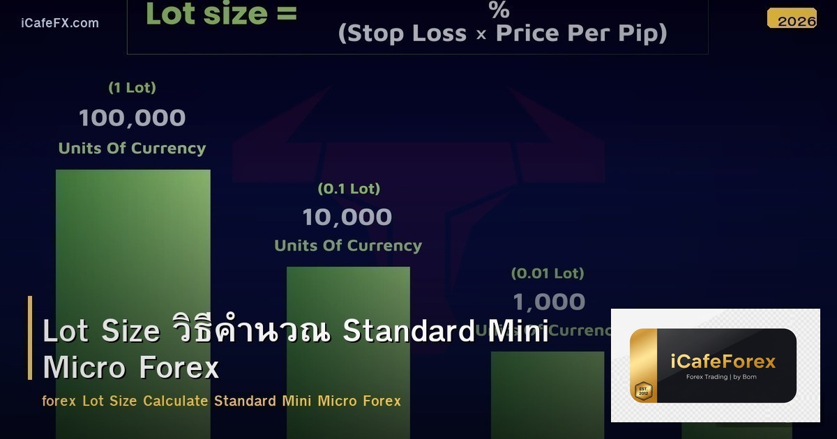 Lot Size วิธีคำนวณ Standard Mini Micro Forex
