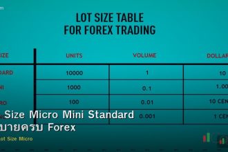 Lot Size Micro Mini Standard อธิบายครบ Forex