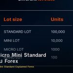 Lot Size คืออะไร? Micro Mini Standard Lot อธิบายครบ Forex