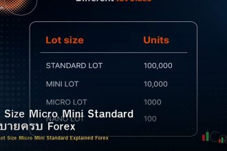 Lot Size คืออะไร? Micro Mini Standard Lot อธิบายครบ Forex