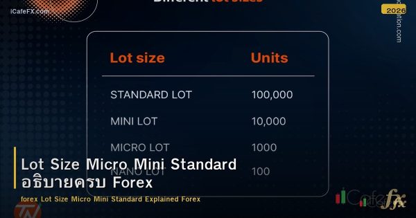 Lot Size คืออะไร? Micro Mini Standard Lot อธิบายครบ Forex
