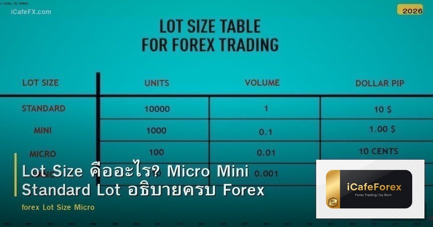 Lot Size Micro Mini Standard อธิบายครบ Forex