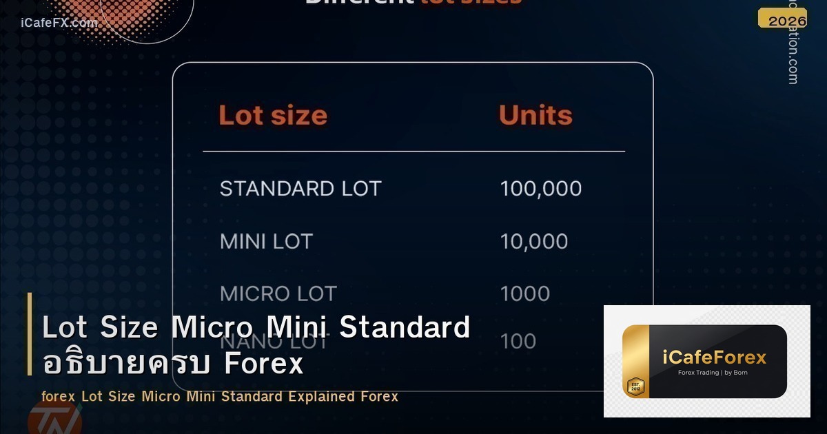 Lot Size Micro Mini Standard อธิบายครบ Forex