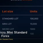 Lot Size Micro Mini Standard วิธีคำนวณ Forex