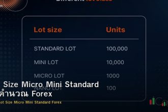 Lot Size Micro Mini Standard วิธีคำนวณ Forex