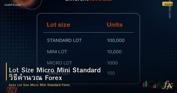 Lot Size Micro Mini Standard วิธีคำนวณ Forex
