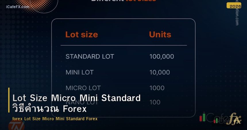 Lot Size Micro Mini Standard วิธีคำนวณ Forex