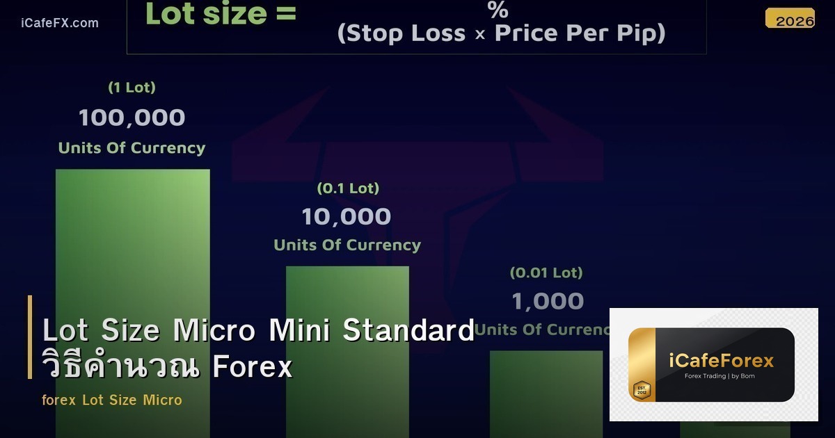 Lot Size Micro Mini Standard วิธีคำนวณ Forex