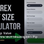 Lot Size Pip Value วิธีคำนวณขนาดเทรดและมูลค่า Pip