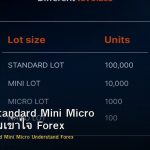 Lot Size Standard Mini Micro วิธีทำความเข้าใจ Forex