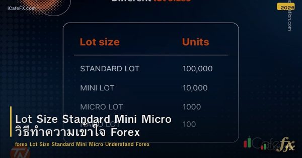 Lot Size Standard Mini Micro วิธีทำความเข้าใจ Forex