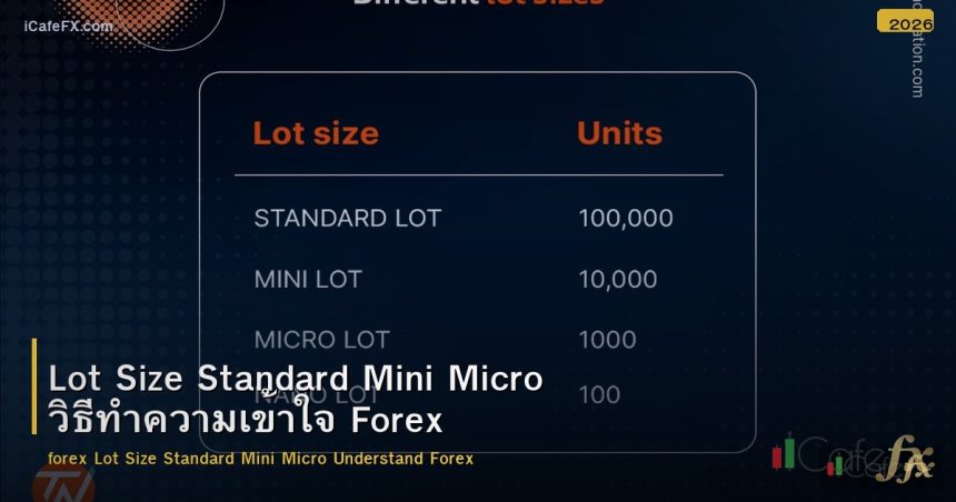 Lot Size Standard Mini Micro วิธีทำความเข้าใจ Forex