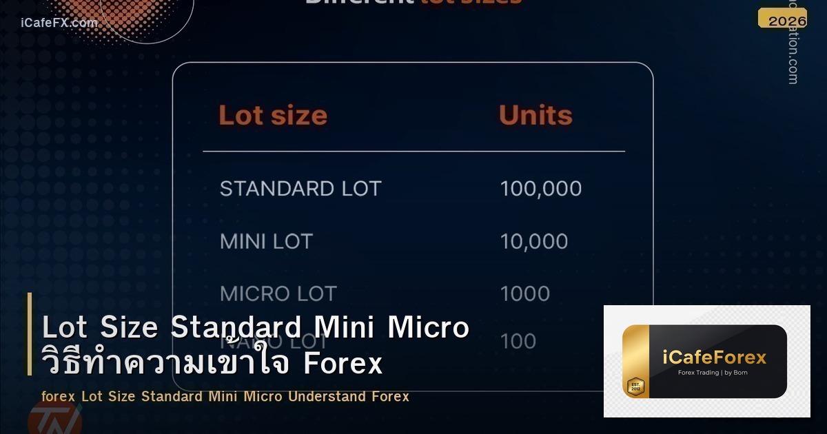 Lot Size Standard Mini Micro วิธีทำความเข้าใจ Forex