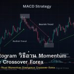 MACD Histogram วิธีอ่าน Momentum Divergence Crossover Forex