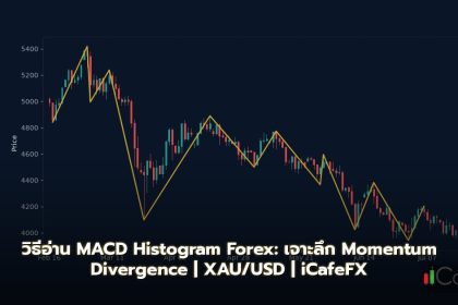 MACD Histogram วิธีอ่าน Momentum Divergence Crossover Forex
