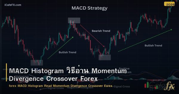 MACD Histogram วิธีอ่าน Momentum Divergence Crossover Forex