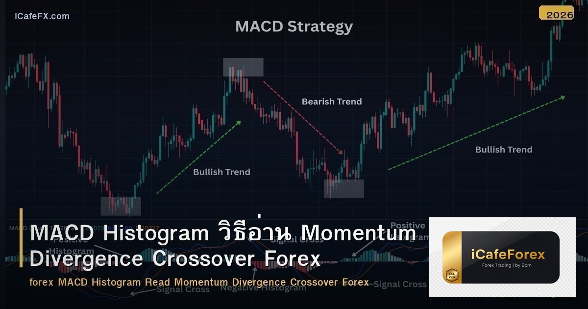 MACD Histogram วิธีอ่าน Momentum Divergence Crossover Forex
