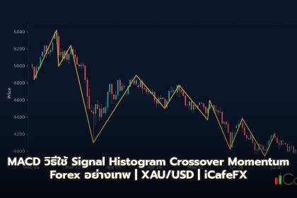 MACD วิธีใช้ Signal Histogram Crossover Momentum Forex