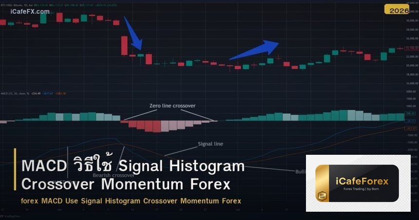 MACD วิธีใช้ Signal Histogram Crossover Momentum Forex