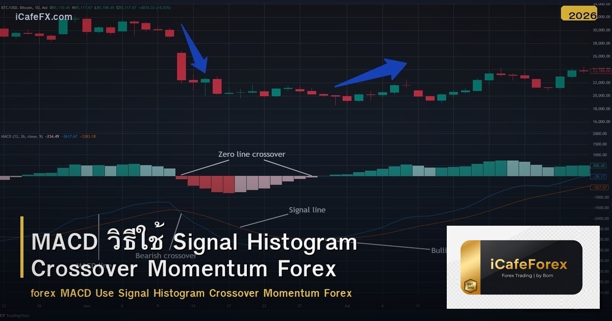 MACD วิธีใช้ Signal Histogram Crossover Momentum Forex