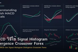 MACD วิธีใช้ Signal Histogram Divergence Crossover Forex