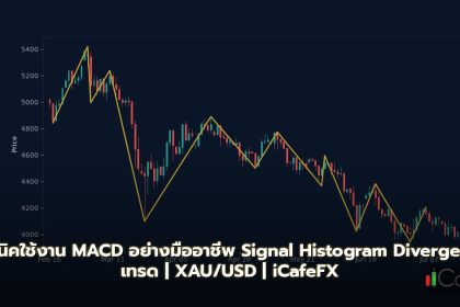 เทคนิคใช้งาน MACD อย่างมืออาชีพ Signal Histogram Divergence เทรด