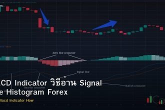MACD Indicator วิธีอ่าน Signal Line Histogram Forex