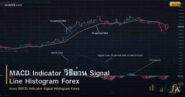 MACD Indicator วิธีอ่าน Signal Line Histogram Forex