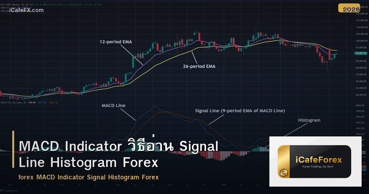 MACD Indicator วิธีอ่าน Signal Line Histogram Forex