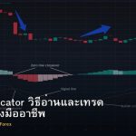 MACD Indicator วิธีอ่านและเทรด Forex อย่างมืออาชีพ