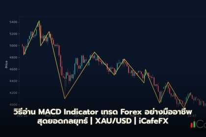 MACD Indicator วิธีอ่านและเทรด Forex อย่างมืออาชีพ