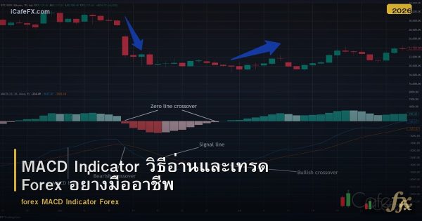 MACD Indicator วิธีอ่านและเทรด Forex อย่างมืออาชีพ