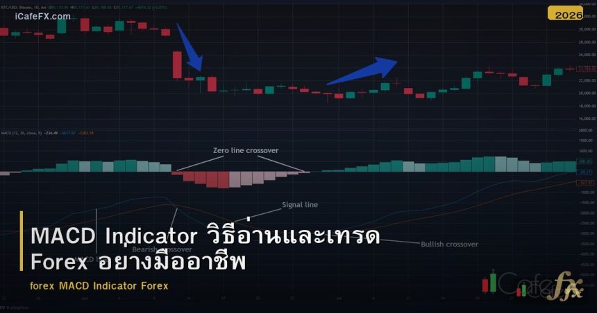 MACD Indicator วิธีอ่านและเทรด Forex อย่างมืออาชีพ