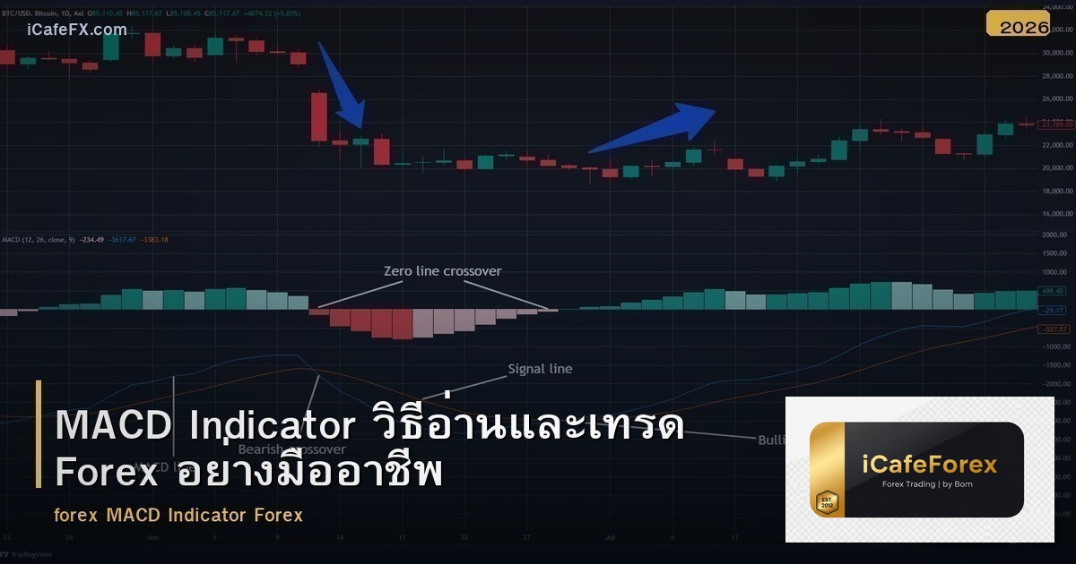 MACD Indicator วิธีอ่านและเทรด Forex อย่างมืออาชีพ