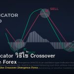 MACD Indicator วิธีใช้ Crossover Divergence Forex
