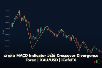 MACD Indicator วิธีใช้ Crossover Divergence Forex