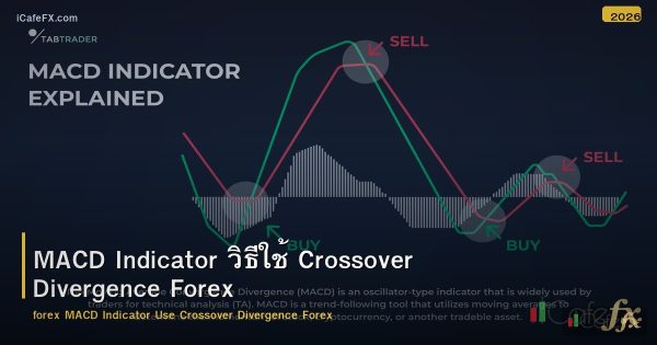 MACD Indicator วิธีใช้ Crossover Divergence Forex