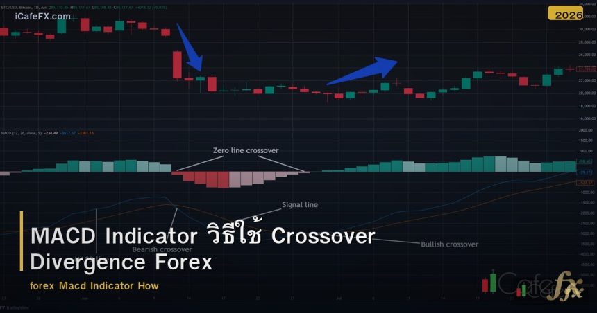 MACD Indicator วิธีใช้ Crossover Divergence Forex