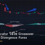 MACD Indicator วิธีใช้ Crossover Histogram Divergence Forex