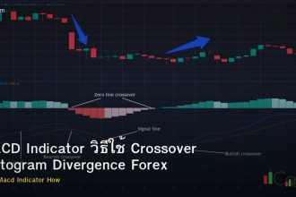 MACD Indicator วิธีใช้ Crossover Histogram Divergence Forex