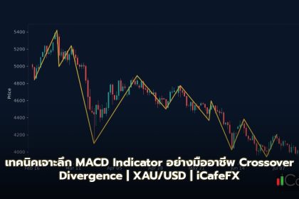 MACD Indicator วิธีใช้ Crossover Histogram Divergence Forex